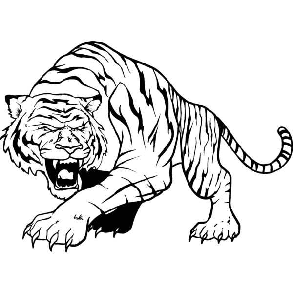 tiger17 Thumbnail