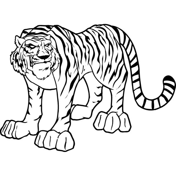 tiger11 Thumbnail