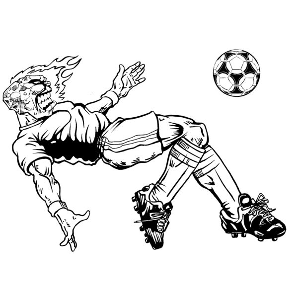 ctsr1 Thumbnail