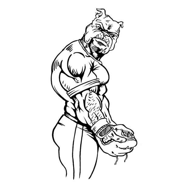 bdba02 Thumbnail