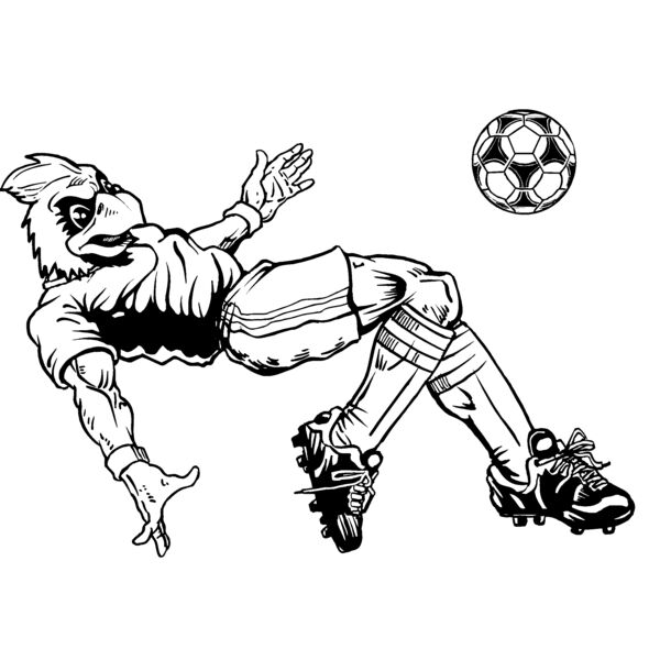 crsr1 Thumbnail