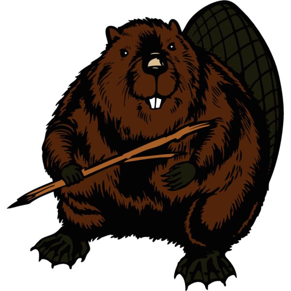 beaver13 Thumbnail