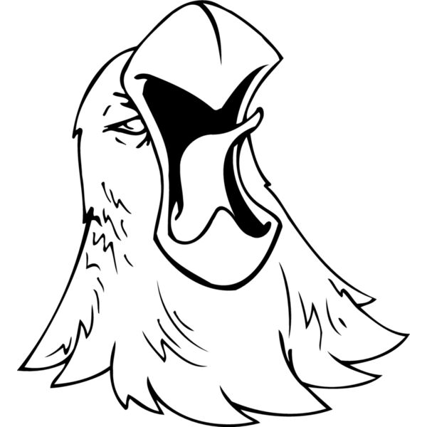 eagles2 Thumbnail