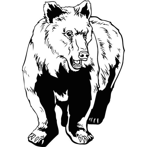 bear67 Thumbnail
