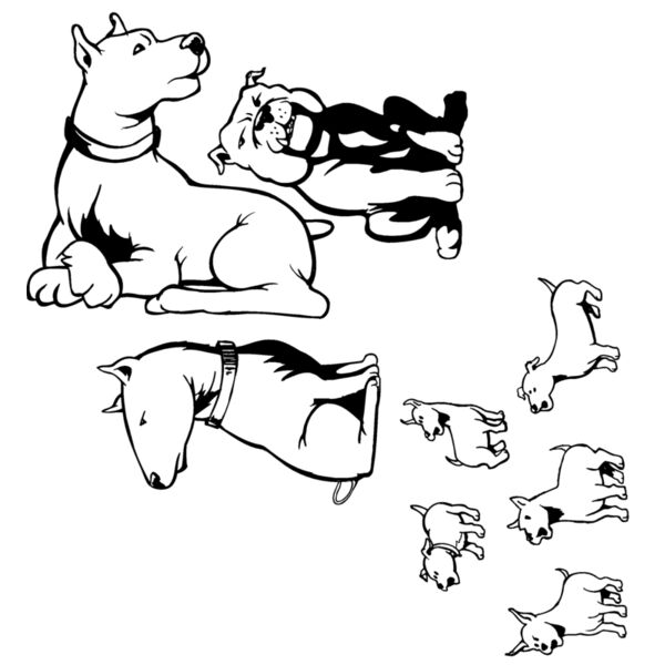 dogs8 Thumbnail