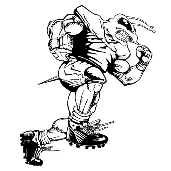 befb02 Thumbnail