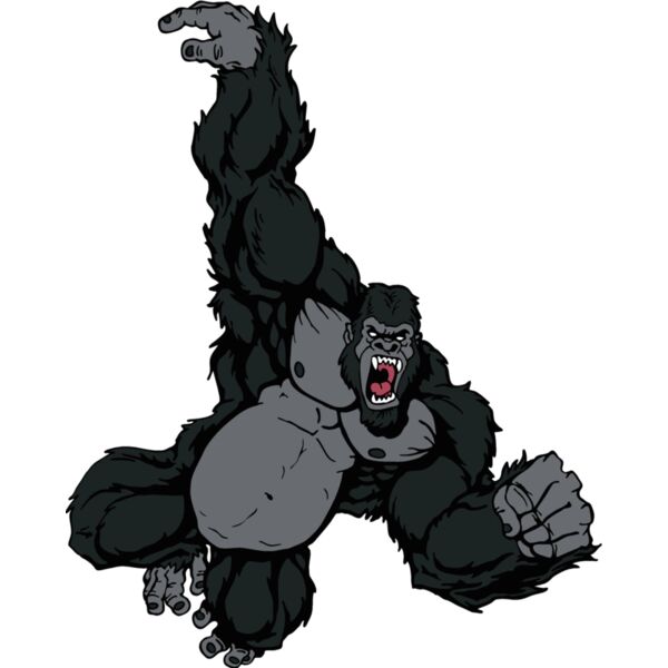 gorilla7 Thumbnail