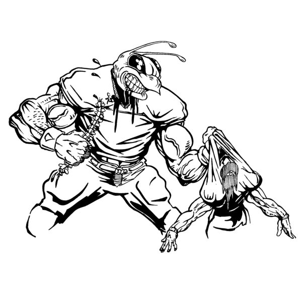 befb06 Thumbnail