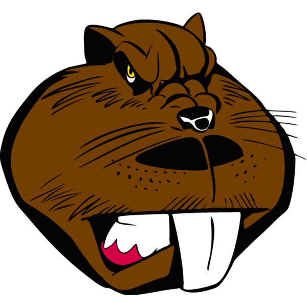 beaver37 Thumbnail