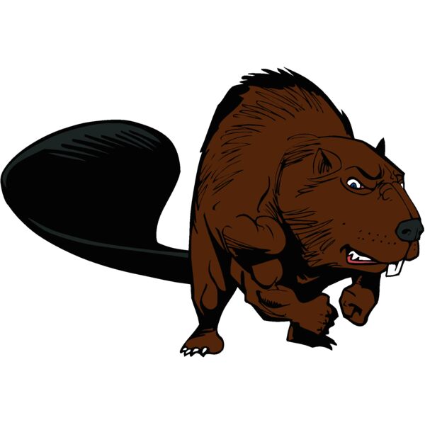 beaver29 Thumbnail