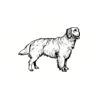 5 Pack - Oval Sticker 3 1/2 Thumbnail