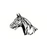 5 Pack - Oval Sticker 3 1/2 Thumbnail