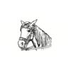 5 Pack - Oval Sticker 3 1/2 Thumbnail