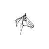 5 Pack - Oval Sticker 3 1/2 Thumbnail