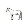 5 Pack - Oval Sticker 3 1/2 Thumbnail
