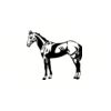 5 Pack - Oval Sticker 3 1/2 Thumbnail