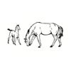 5 Pack - Oval Sticker 3 1/2 Thumbnail