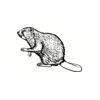 5 Pack - Oval Sticker 3 1/2 Thumbnail
