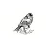 5 Pack - Oval Sticker 3 1/2 Thumbnail