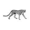 5 Pack - Oval Sticker 3 1/2 Thumbnail
