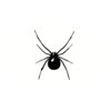 5 Pack - Oval Sticker 3 1/2 Thumbnail