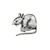5 Pack - Oval Sticker 3 1/2 Thumbnail