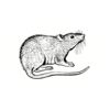 5 Pack - Oval Sticker 3 1/2 Thumbnail