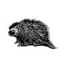 5 Pack - Oval Sticker 3 1/2 Thumbnail