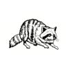 5 Pack - Oval Sticker 3 1/2 Thumbnail