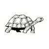 5 Pack - Oval Sticker 3 1/2 Thumbnail