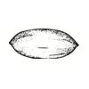 5 Pack - Oval Sticker 3 1/2 Thumbnail