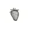 5 Pack - Oval Sticker 3 1/2 Thumbnail