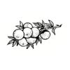 5 Pack - Oval Sticker 3 1/2 Thumbnail