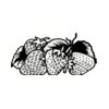 5 Pack - Oval Sticker 3 1/2 Thumbnail