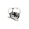5 Pack - Oval Sticker 3 1/2 Thumbnail