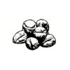 5 Pack - Oval Sticker 3 1/2 Thumbnail