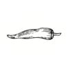 5 Pack - Oval Sticker 3 1/2 Thumbnail
