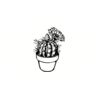 5 Pack - Oval Sticker 3 1/2 Thumbnail
