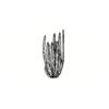 5 Pack - Oval Sticker 3 1/2 Thumbnail