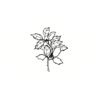 5 Pack - Oval Sticker 3 1/2 Thumbnail