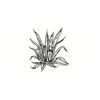 5 Pack - Oval Sticker 3 1/2 Thumbnail