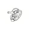 5 Pack - Oval Sticker 3 1/2 Thumbnail