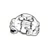 5 Pack - Oval Sticker 3 1/2 Thumbnail
