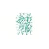 5 Pack - Oval Sticker 3 1/2 Thumbnail