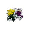 5 Pack - Oval Sticker 3 1/2 Thumbnail