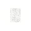 5 Pack - Oval Sticker 3 1/2 Thumbnail