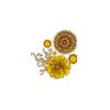 5 Pack - Oval Sticker 3 1/2 Thumbnail
