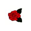 5 Pack - Oval Sticker 3 1/2 Thumbnail