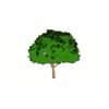 5 Pack - Oval Sticker 3 1/2 Thumbnail