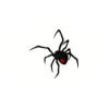 5 Pack - Oval Sticker 3 1/2 Thumbnail